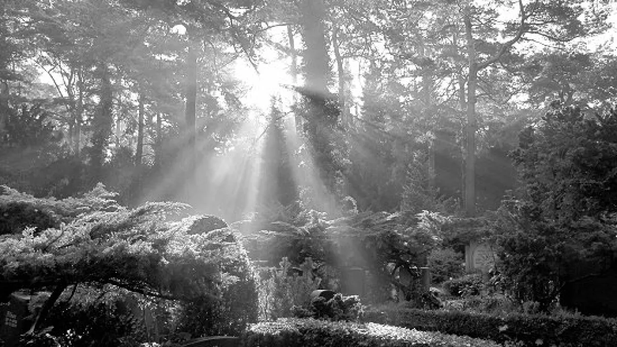 Licht im Dunkeln (Foto: Esther Borer-Schaub) Licht im Dunkeln (Foto: Esther Borer-Schaub)